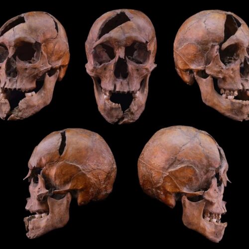 科学奇闻录：从啄木鸟的咕哝到中世纪谋杀案，那些被我们忽略的精彩故事