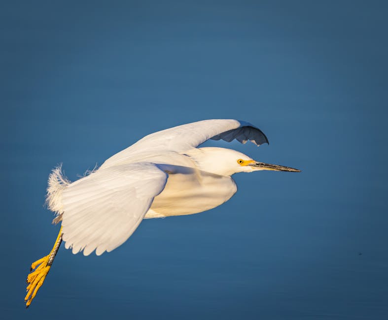 AI重塑非洲：1.5万亿美元增长背后的战略雄心与现实挑战