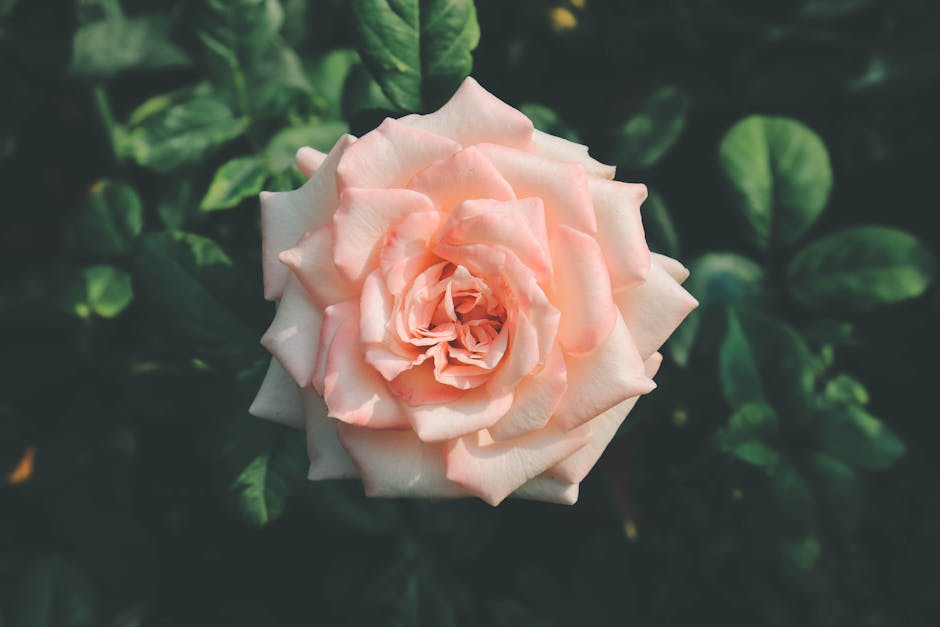 AI革命再升级!ChatGPT全新语音与协作功能将如何重塑我们的工作与生活