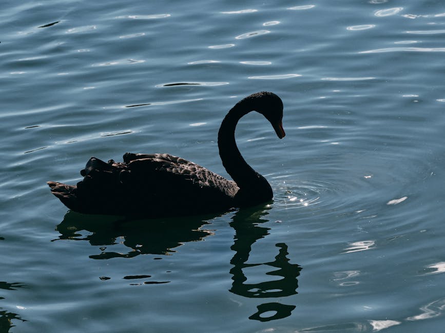 AI购物助手创下118亿美元黑五纪录:智能消费时代全面来临