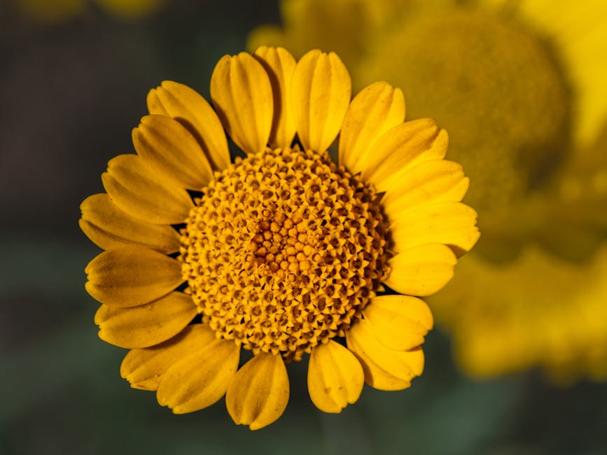 22万光年外的宇宙烟花：人类首次“看见”超新星真实形状，颠覆了什么？