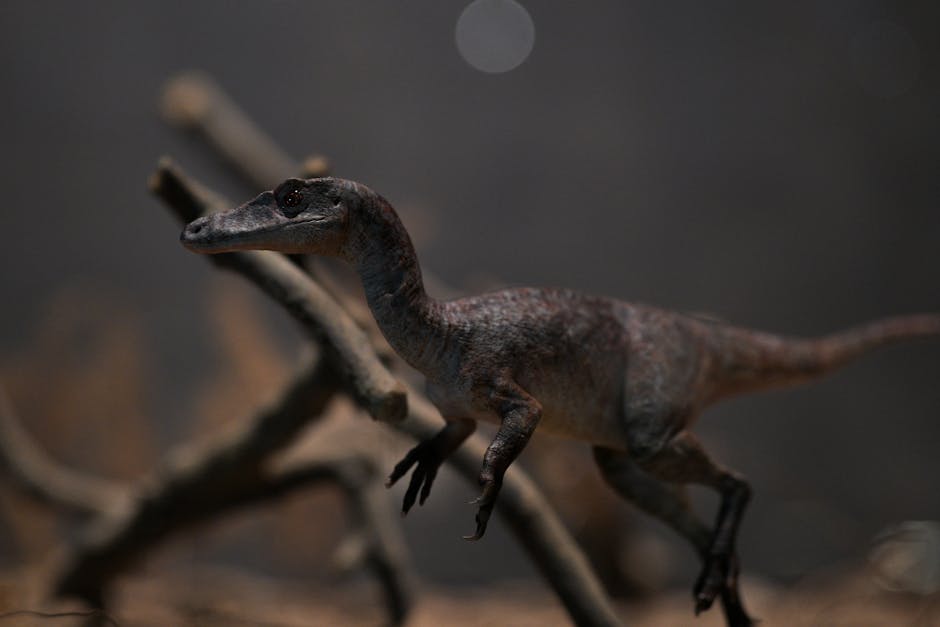 四万件非洲文物的沉默呐喊：曼彻斯特博物馆为何向全球“认输”？