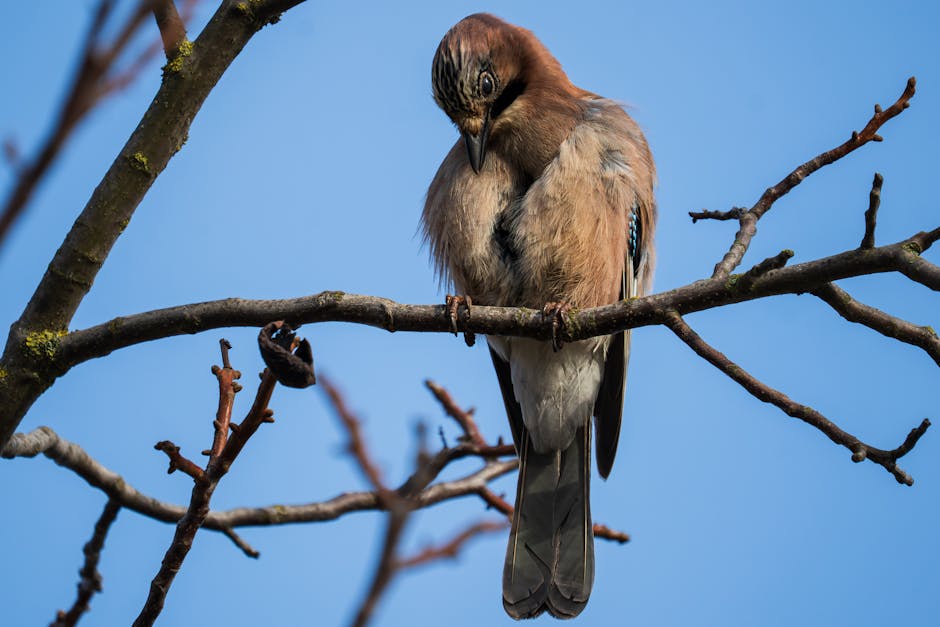 一次宕机,全网瘫痪:Cloudflare事件背后的数字时代“阿喀琉斯之踵”