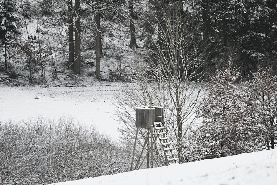 当AI学会自主编程:70%代码自生成的背后,是进化还是失控?