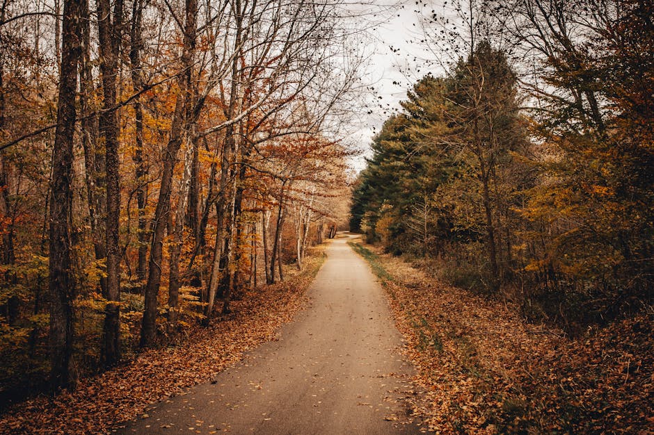 2025黑五购物全攻略：避开关税陷阱，抢购这些真折扣才是硬道理