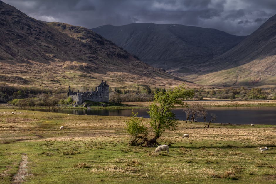 黑色黄金的隐秘河流：英国8000个非法垃圾场背后的环境危机与税收黑洞