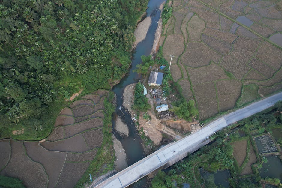 破产法升级背后：印度经济“刮骨疗毒”，国际评级机构为何突然改口？