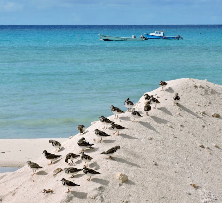 平南港“水水中转”破局：一条内河，如何搅动西江航运大棋局？