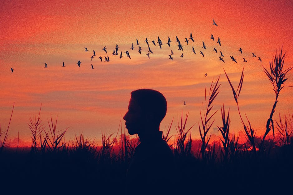 黑海货轮遇袭背后：地缘棋局升温，土耳其的“平衡术”面临终极考验