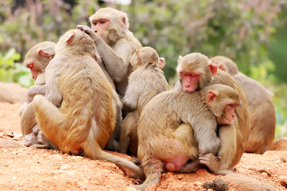 全球首个“数字断奶”令:澳大利亚全面封杀未成年社交账号,是保护还是剥夺?