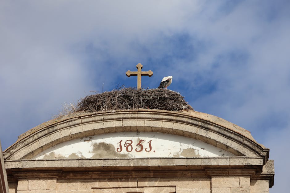 从“引进来”到“自掌握”：中国航海保障如何攻克S-111表层流核心技术，重塑海上数据主权？