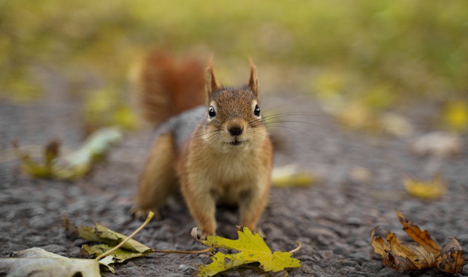 邮轮经济再迎政策东风：外籍邮轮入境松绑，中国消费市场将掀起怎样的“蓝色浪潮”？