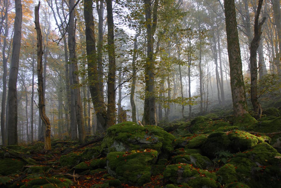 从“数据破壁垒”到“办证不停运”：中国海上运输的“加速度”背后，藏着怎样的治理革命？