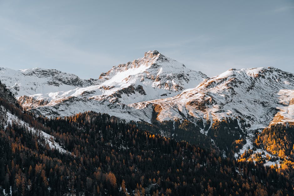 英伟达的“芯片罗盘”:一场即将到来的全球科技供应链暗战