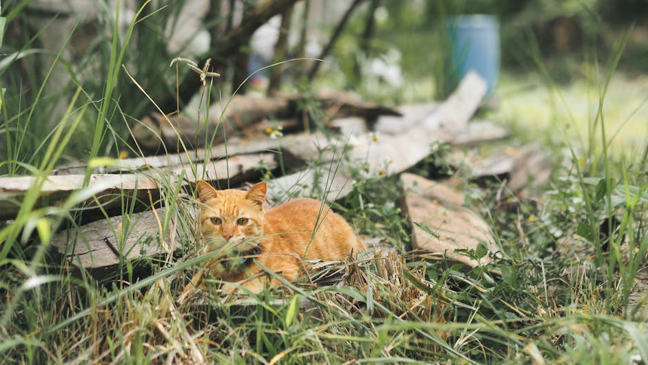 深度评测 | 2024年电子阅读器选购终极指南:Kindle、Kobo、文石谁才是你的“灵魂伴侣”?