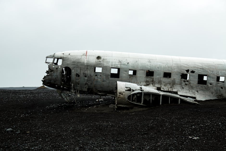 澳洲山火再成“地狱模式”：当气候变化点燃“新常态”，人类如何与烈焰共存？