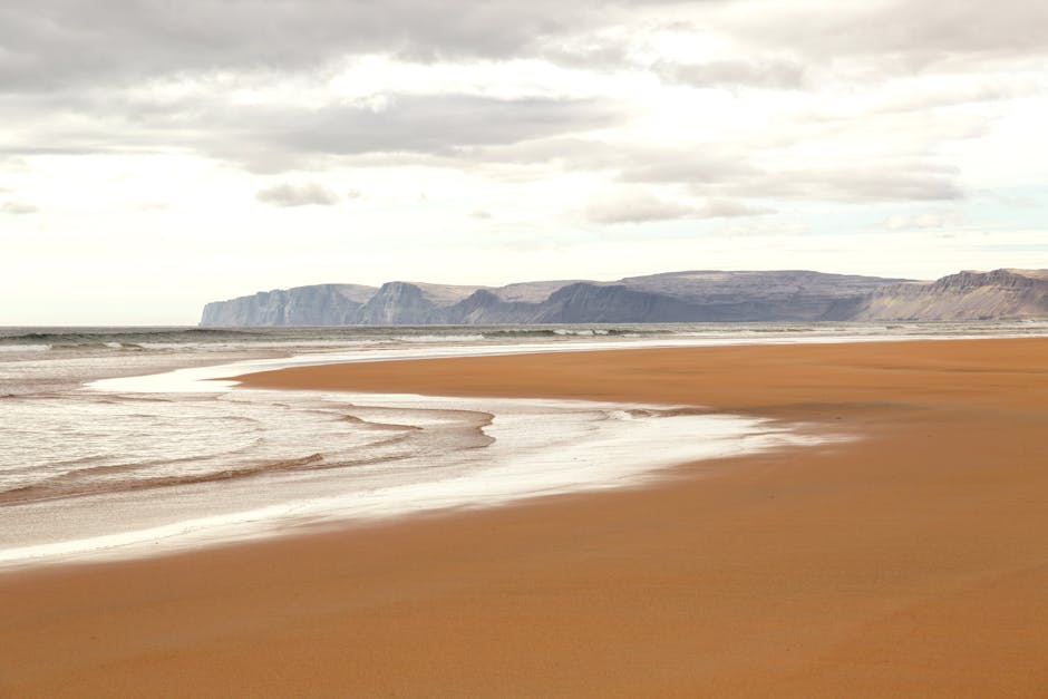 从“径予放行”看上海港的雄心：国际航运中心进化的三个关键逻辑