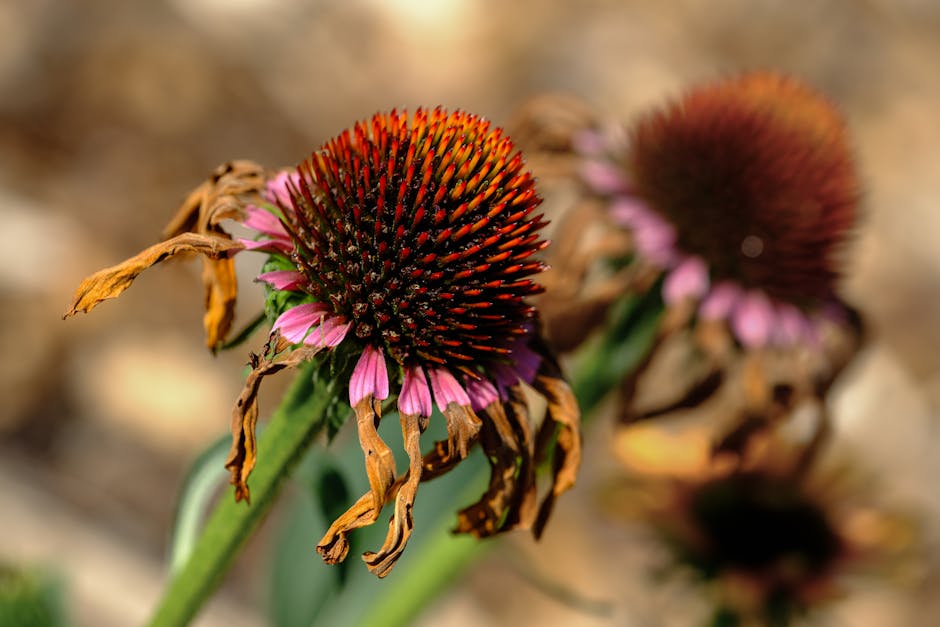 纽芬兰地下的双重宝藏：从废弃铬矿到碳封存，Ophiolite-X如何改写资源游戏规则？