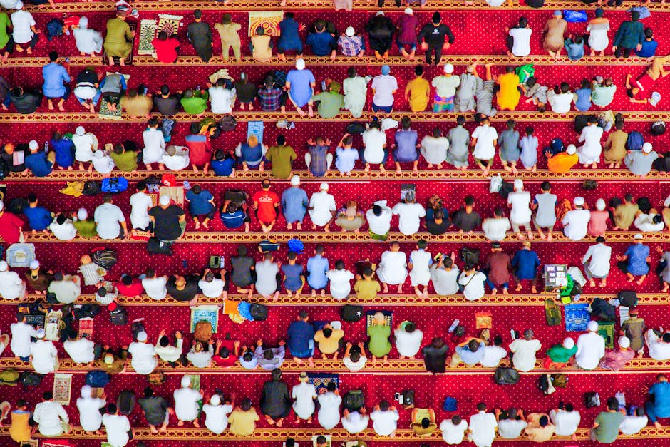 湛江港联手中远海运：一条新航线，如何撬动中国与东南亚的经贸棋局？