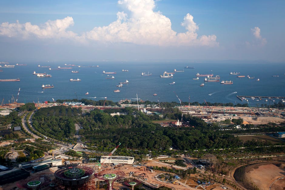 圣诞包裹“生死时速”：这份终极物流指南，让你告别节日焦虑