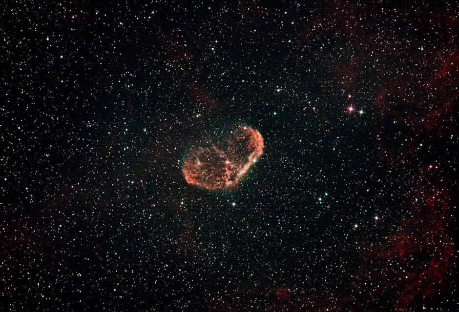 星空蛙之殇：当摄影狂热碾碎雨林最后一块净土