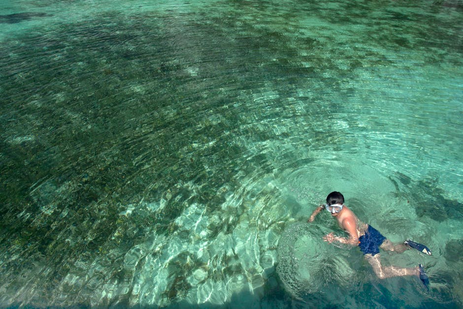 智利巴塔哥尼亚13.3万公顷原始山谷获救记：一场草根运动如何击败资本，为未来守住一片净土