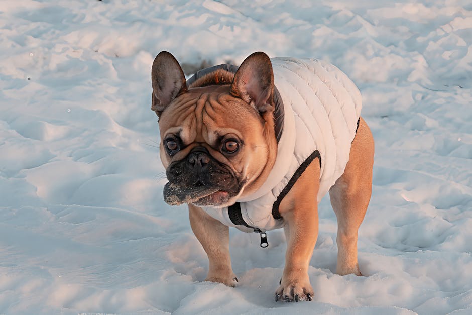 当AI学会“闭嘴”：自动驾驶实验室如何重塑科学发现的边界