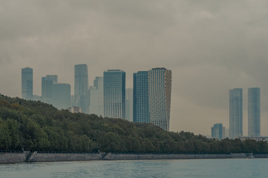 当AI成为金融系统的“双刃剑”:央行如何驾驭这场智能革命?