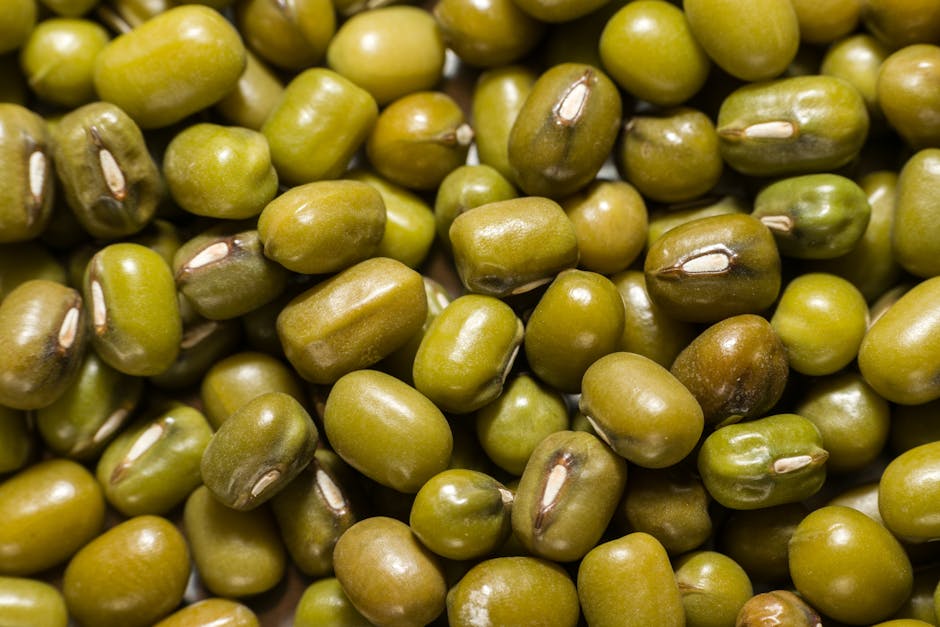 AI狂飙的南北半球：为何年轻人与新兴市场正重塑数字未来，而发达国家却在掉队？