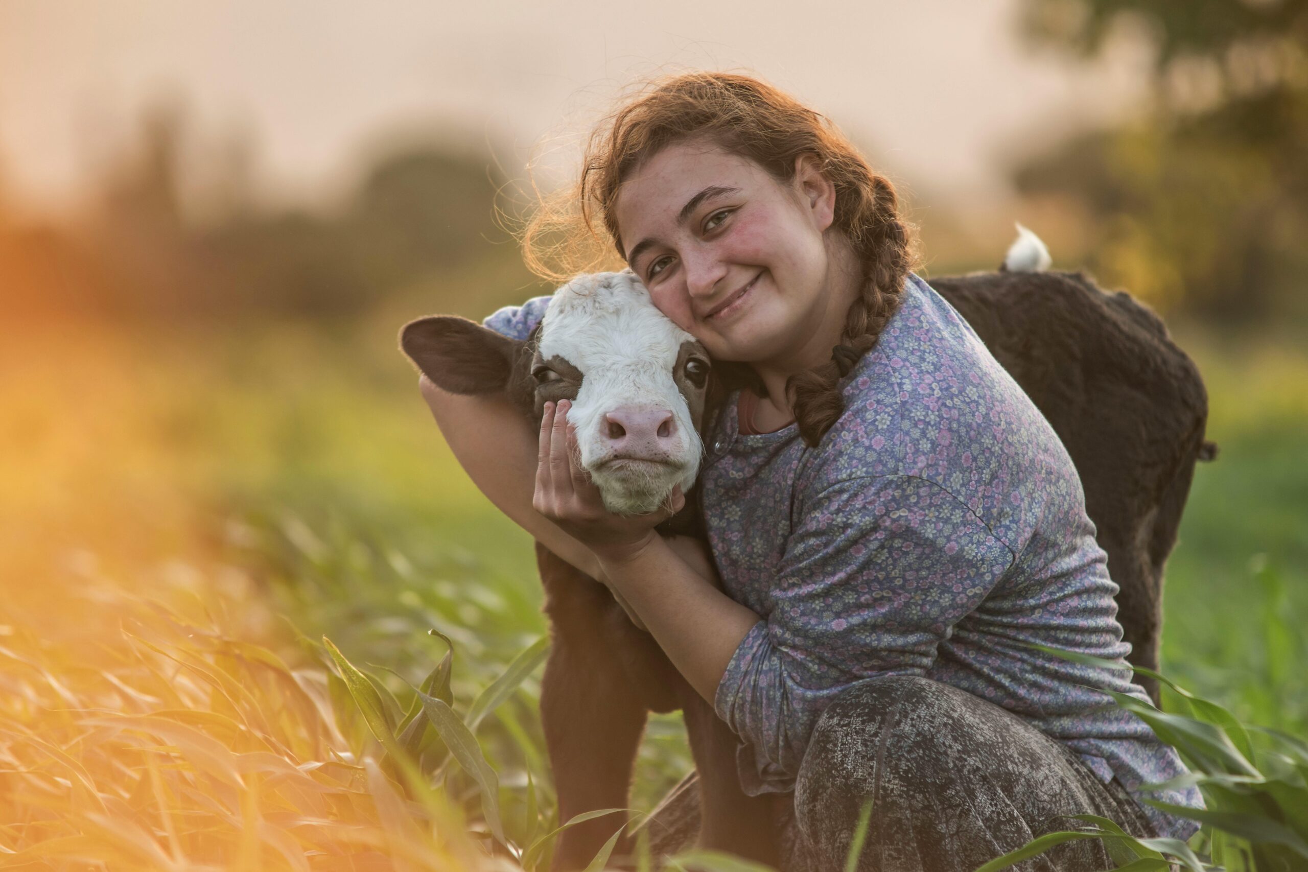 施密特夫妇的“太空之眼”：私人资本如何重塑宇宙探索新格局？