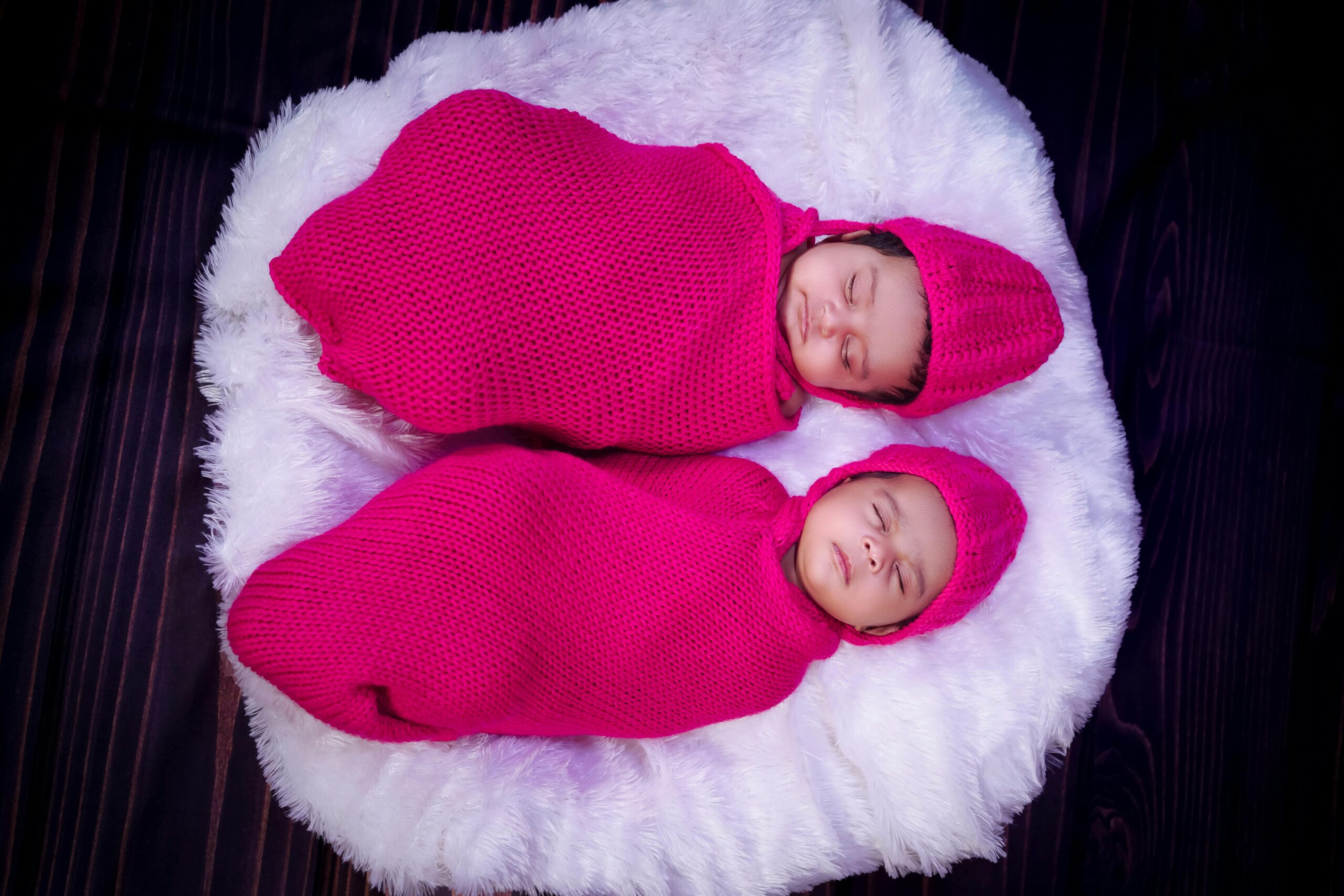 刚果雨林惊现罕见双胞胎:山地大猩猩的“希望之光”与生存博弈