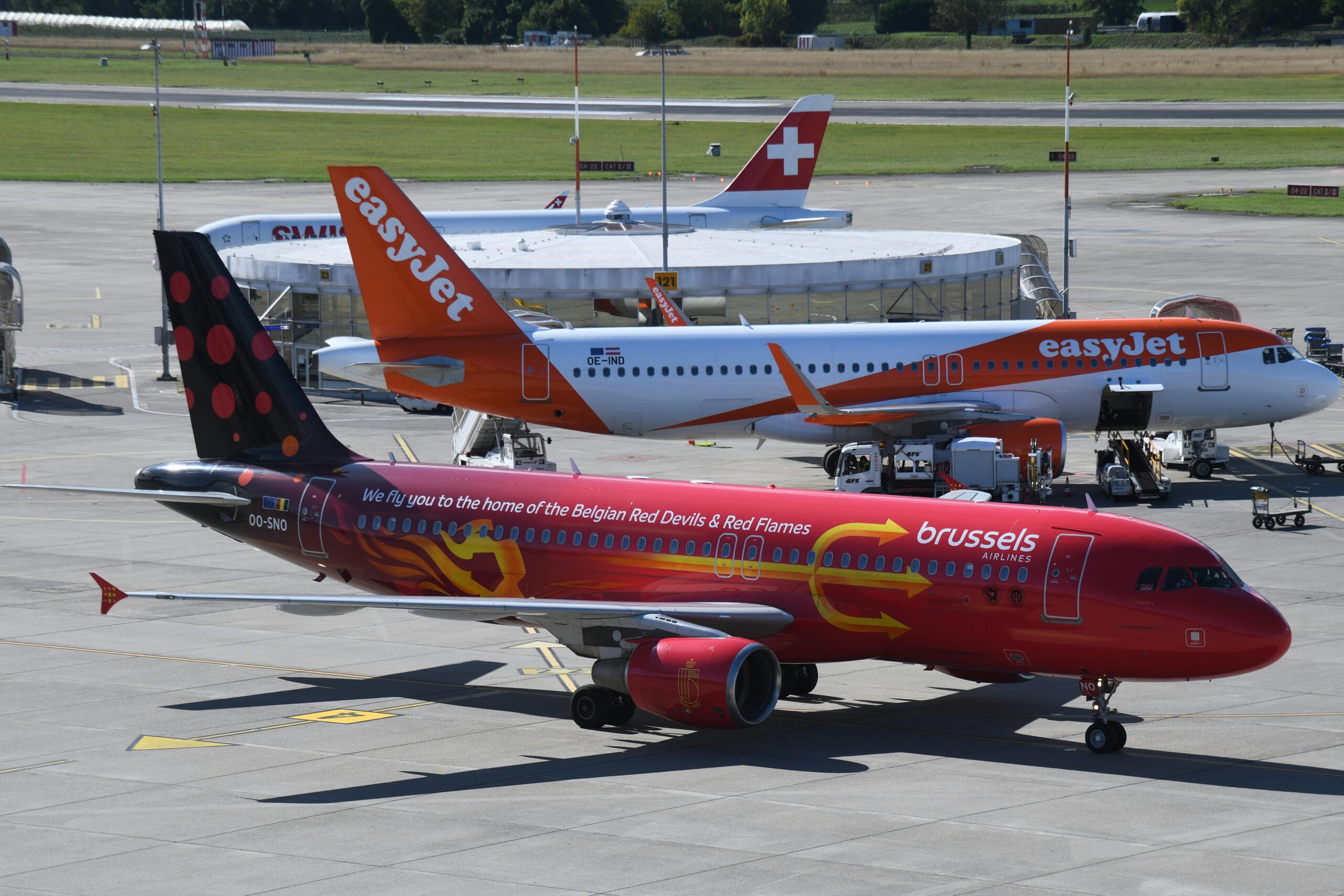 宠物看病贵过养娃?这家公司融资1.1亿美元,想用“会员制”破解天价兽医账单