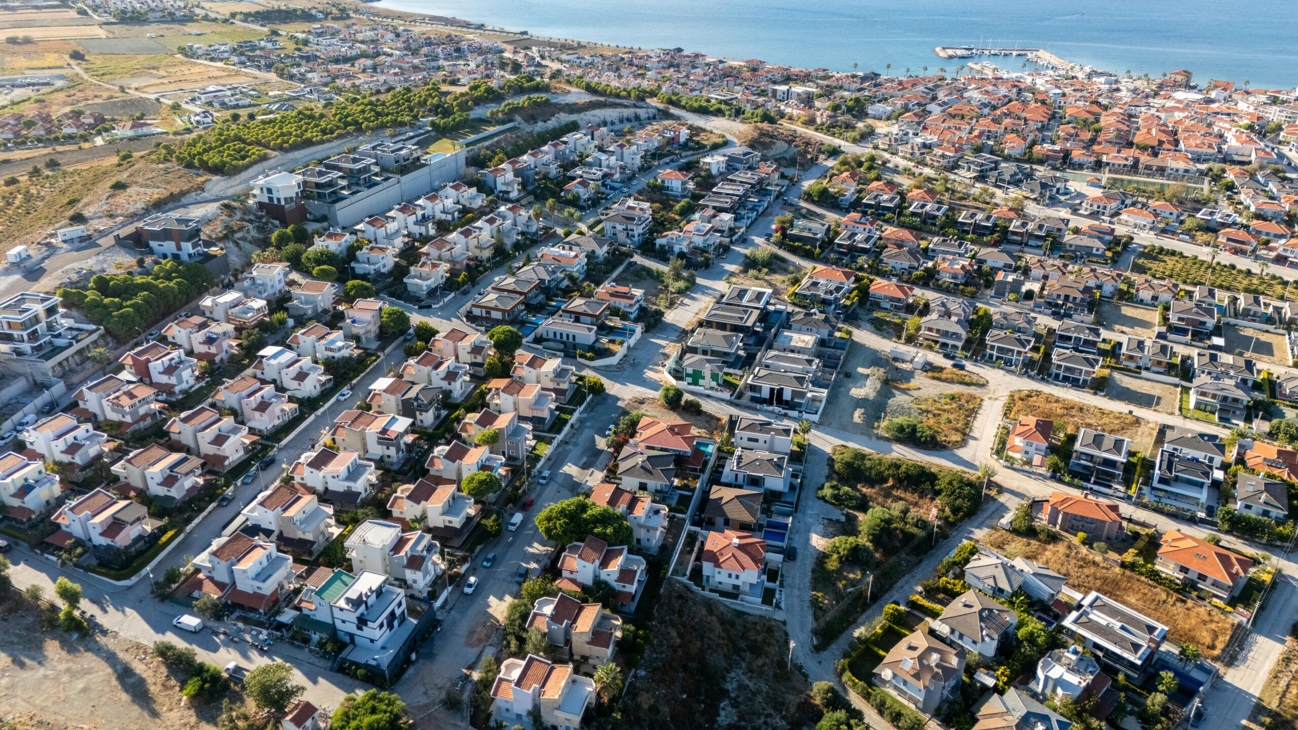 每年少吃一顿肉,就能拯救地球?这项研究揭示“肉类税”背后的惊人真相