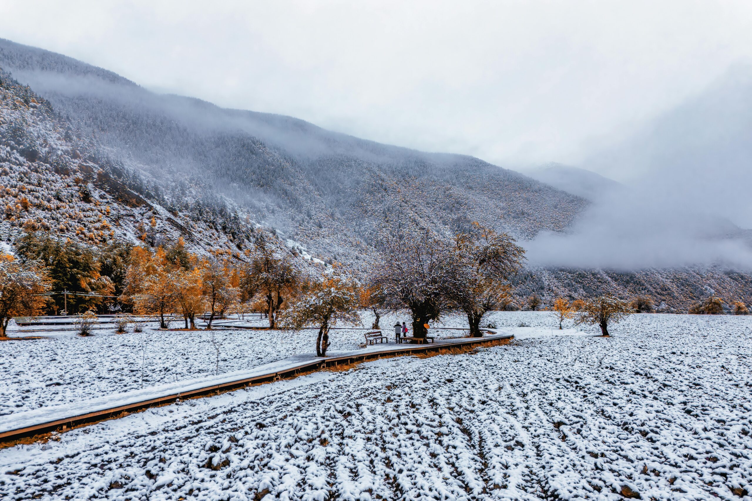 Gmail防线意外“失守”:你的收件箱为何突然涌入促销邮件?深度解析邮件过滤系统的脆弱性与未来
