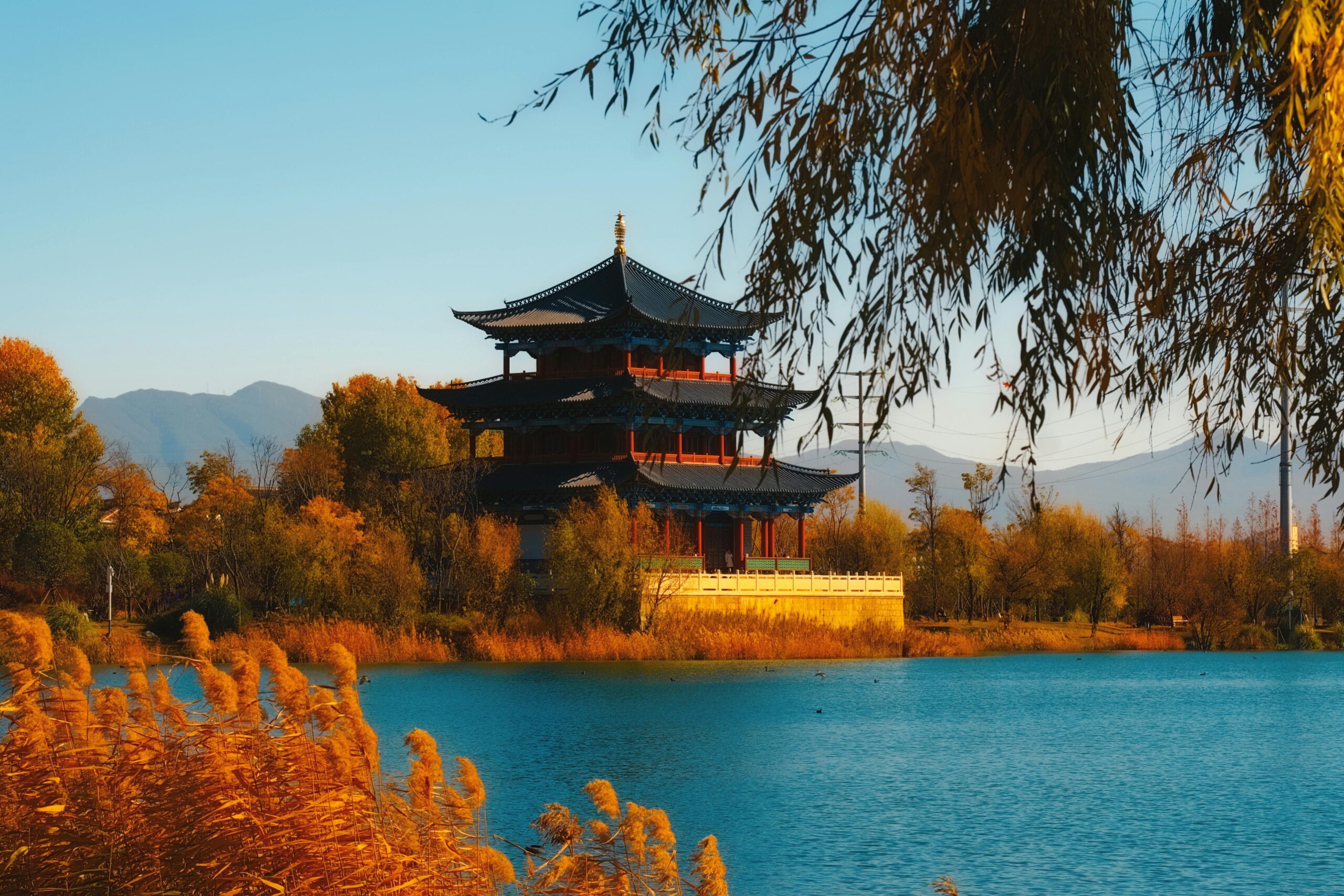 迷因币大溃败：一年蒸发1160万种代币，狂欢过后只剩一地鸡毛