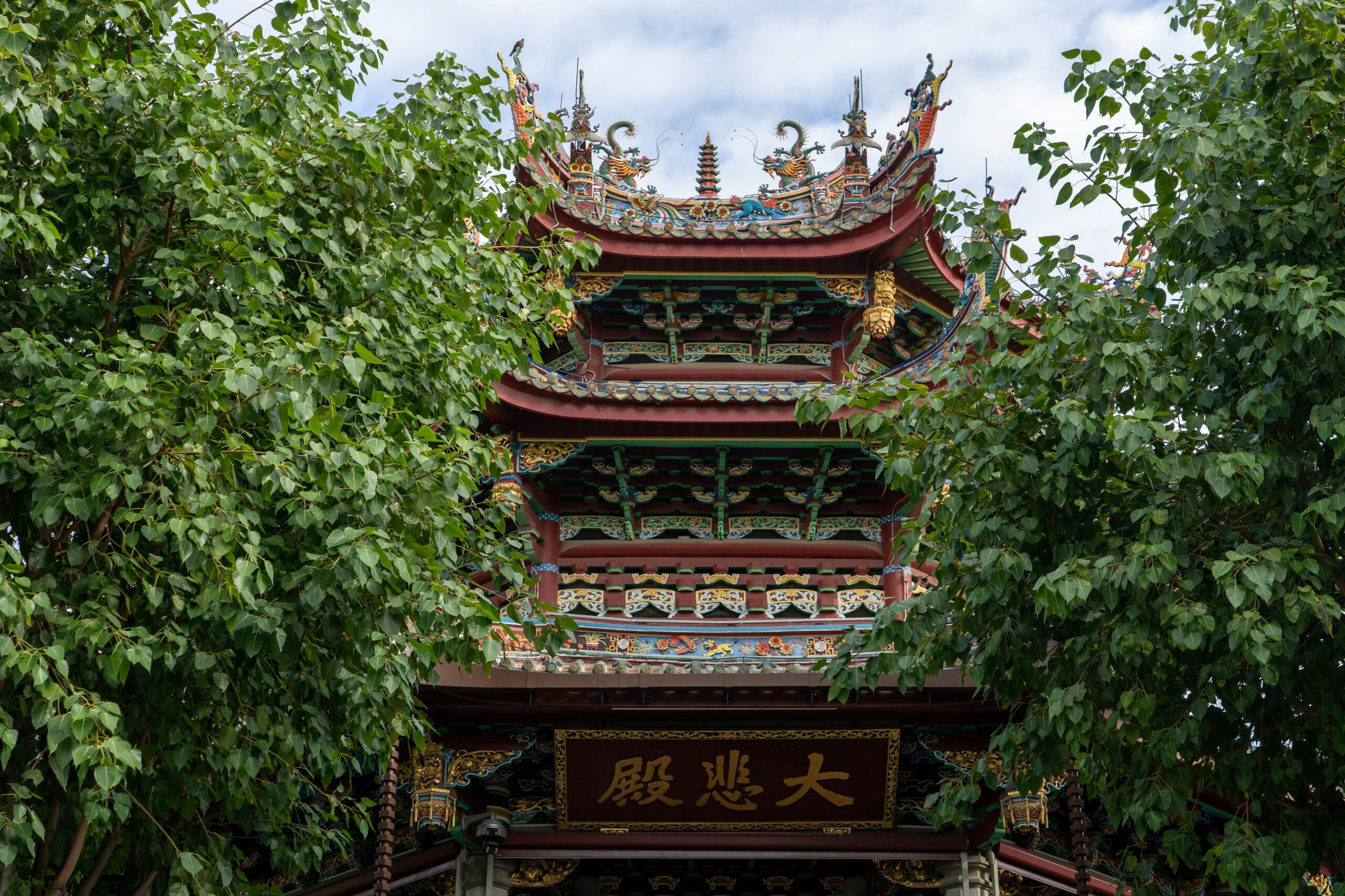 南海“龙洞”惊现1700种未知病毒!深海巨坑揭开地球最隐秘生命图景