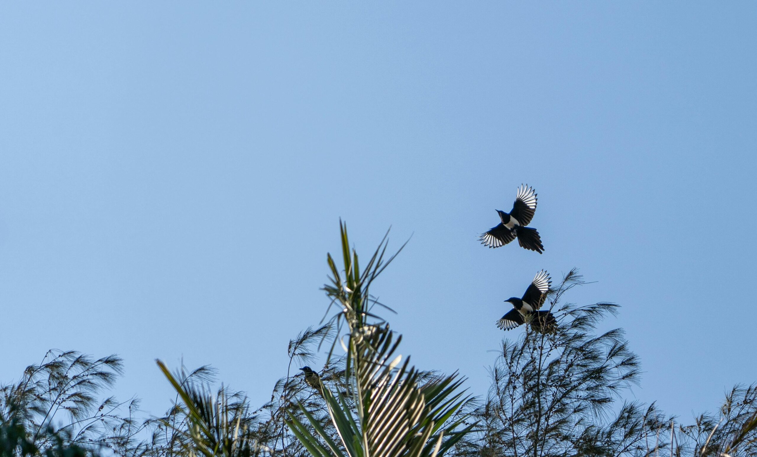 手术室里的气候炸弹：当麻醉剂成为“超级污染物”，医疗行业如何抉择？