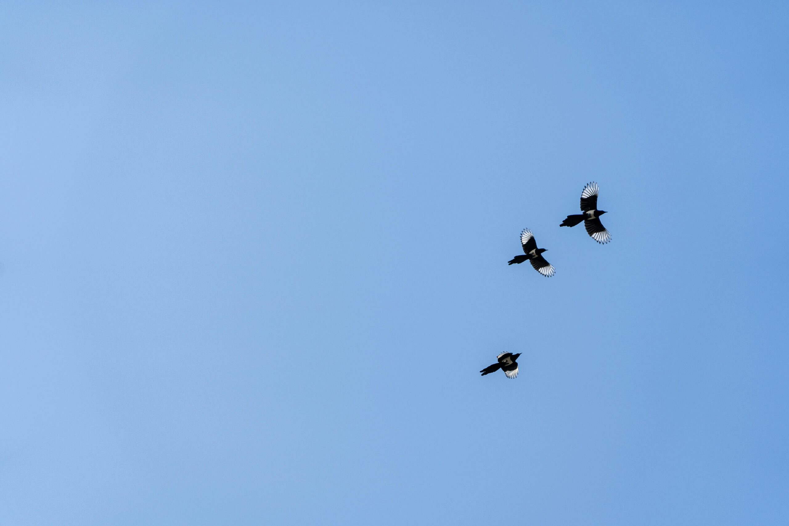 当AI玩具走进童年:是智能陪伴,还是隐形陷阱?常识媒体紧急警告背后的深度思考