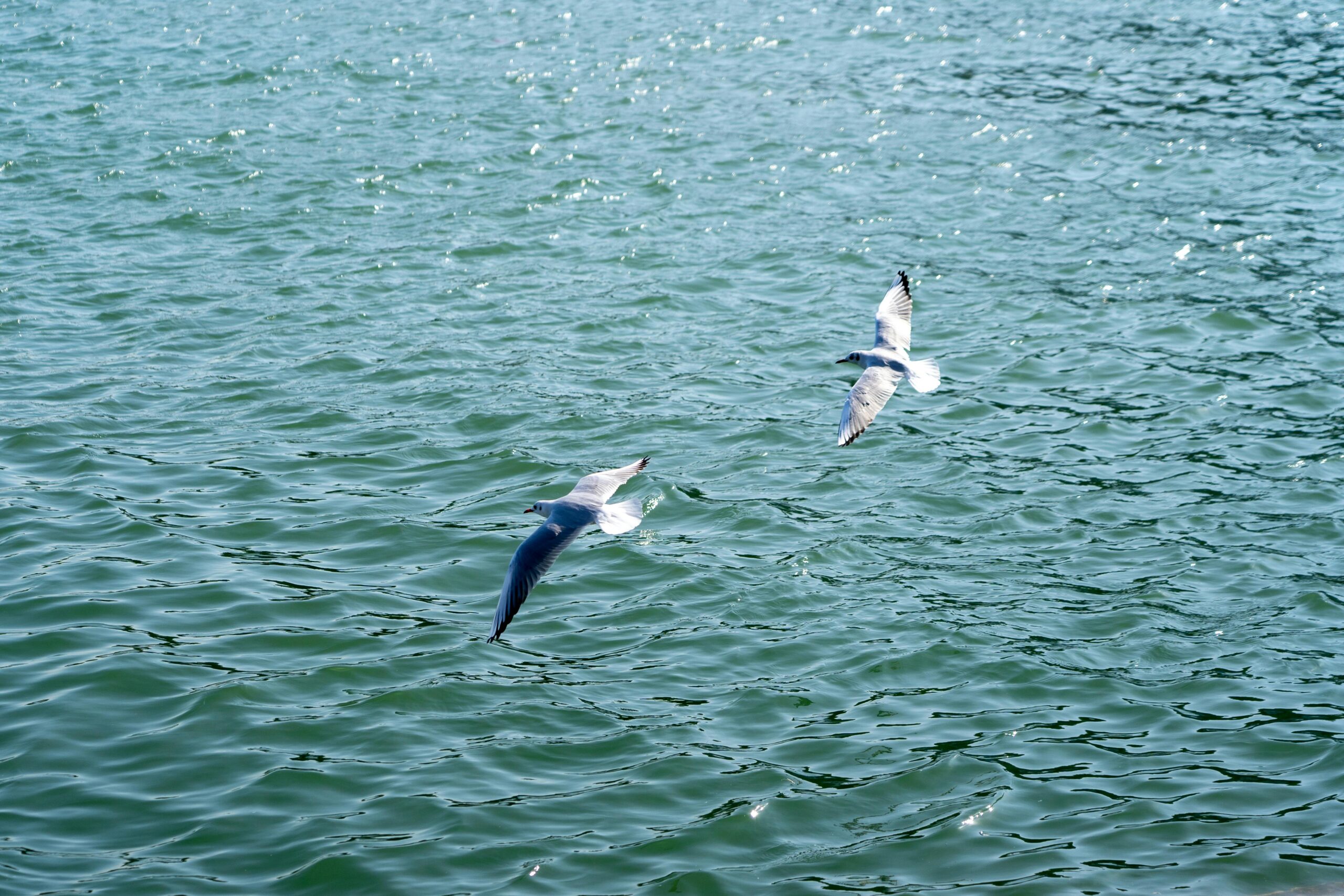 白帽变黑手:网络安全专家堕落为勒索黑客的双重人生警示录