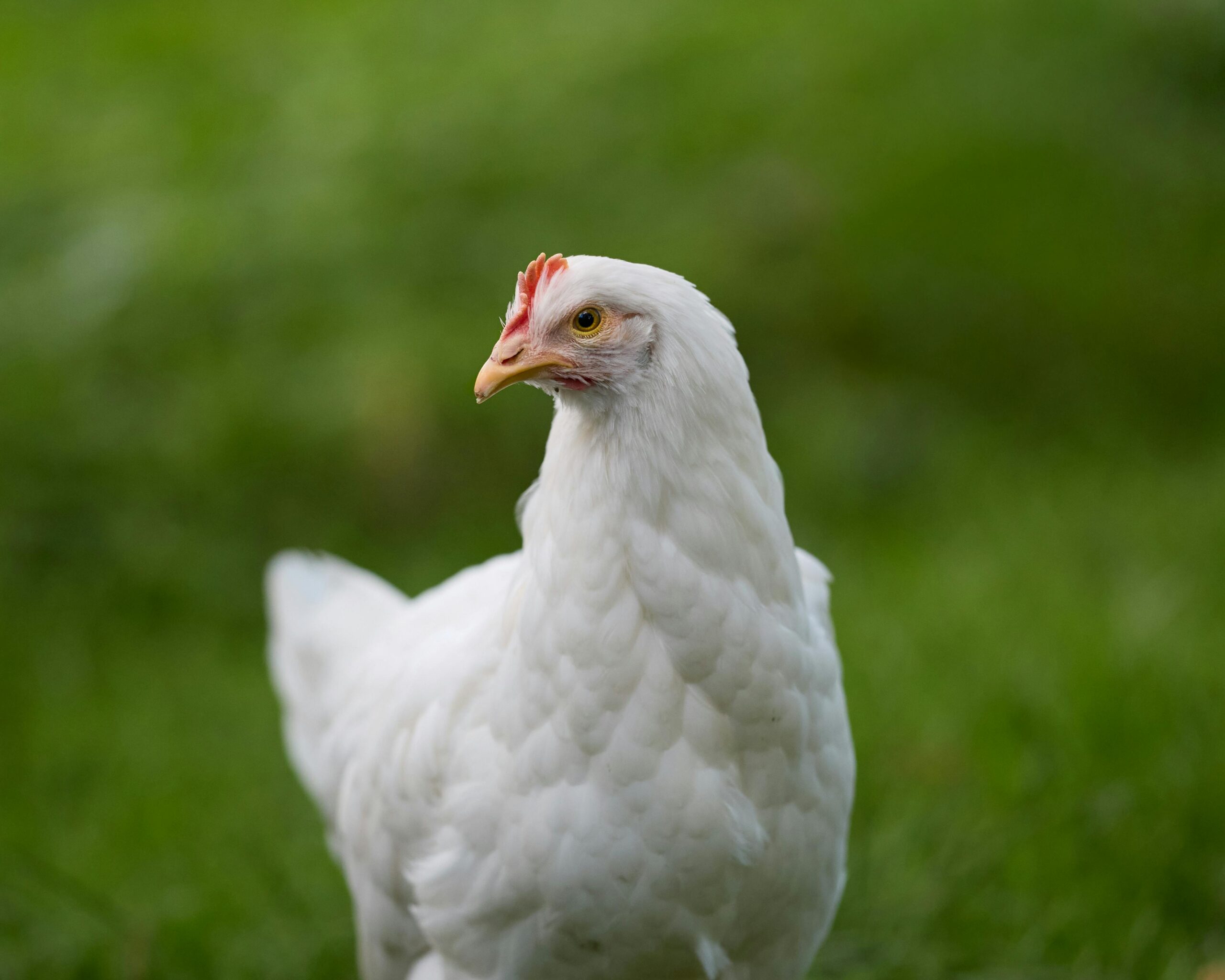 当AI成为武器：从Grok内容争议看平台责任的边界与未来