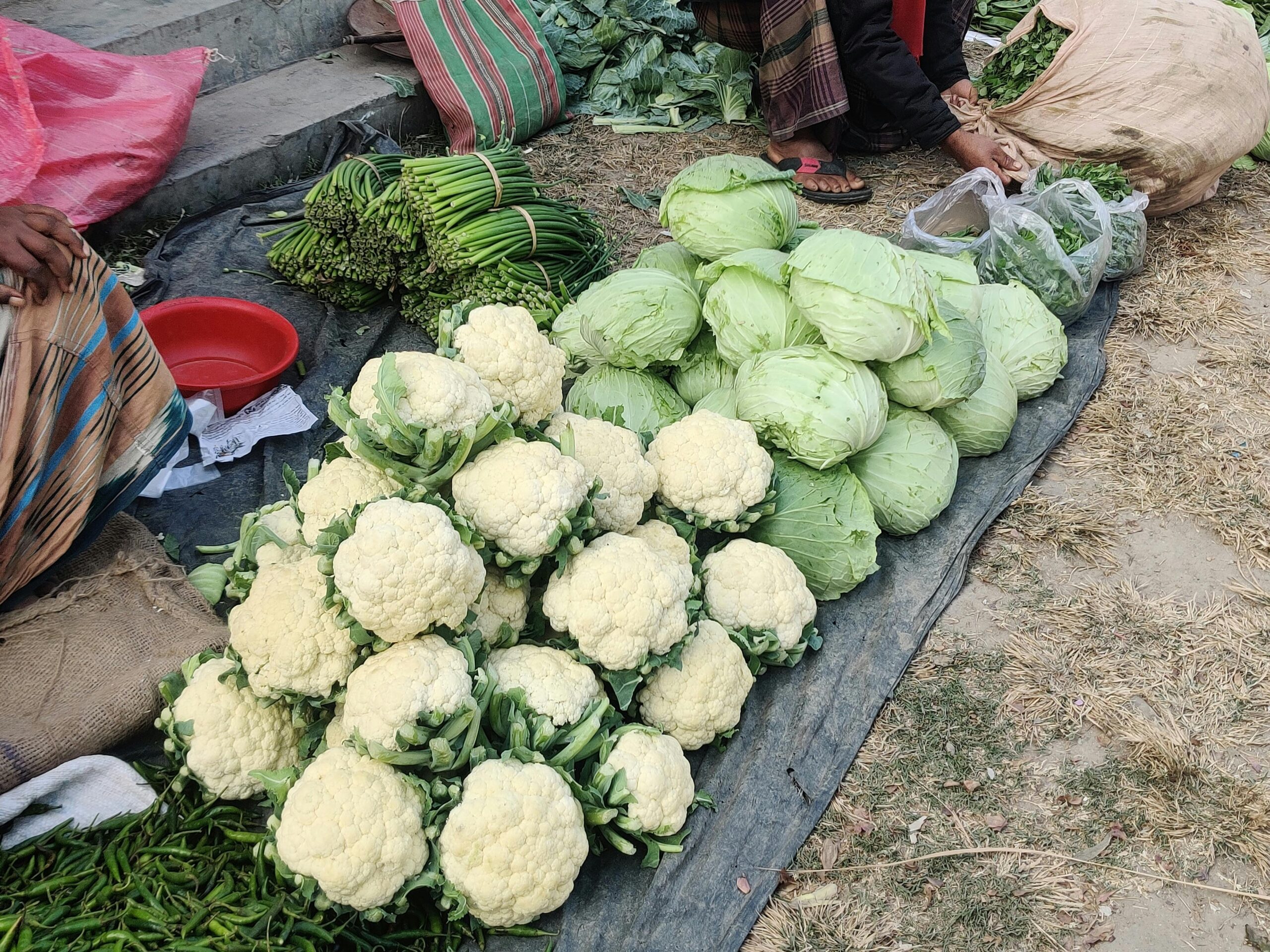 从“恐怖博士”到胃外科医生：揭秘德里肾移植黑市的权力网络与人性沉沦