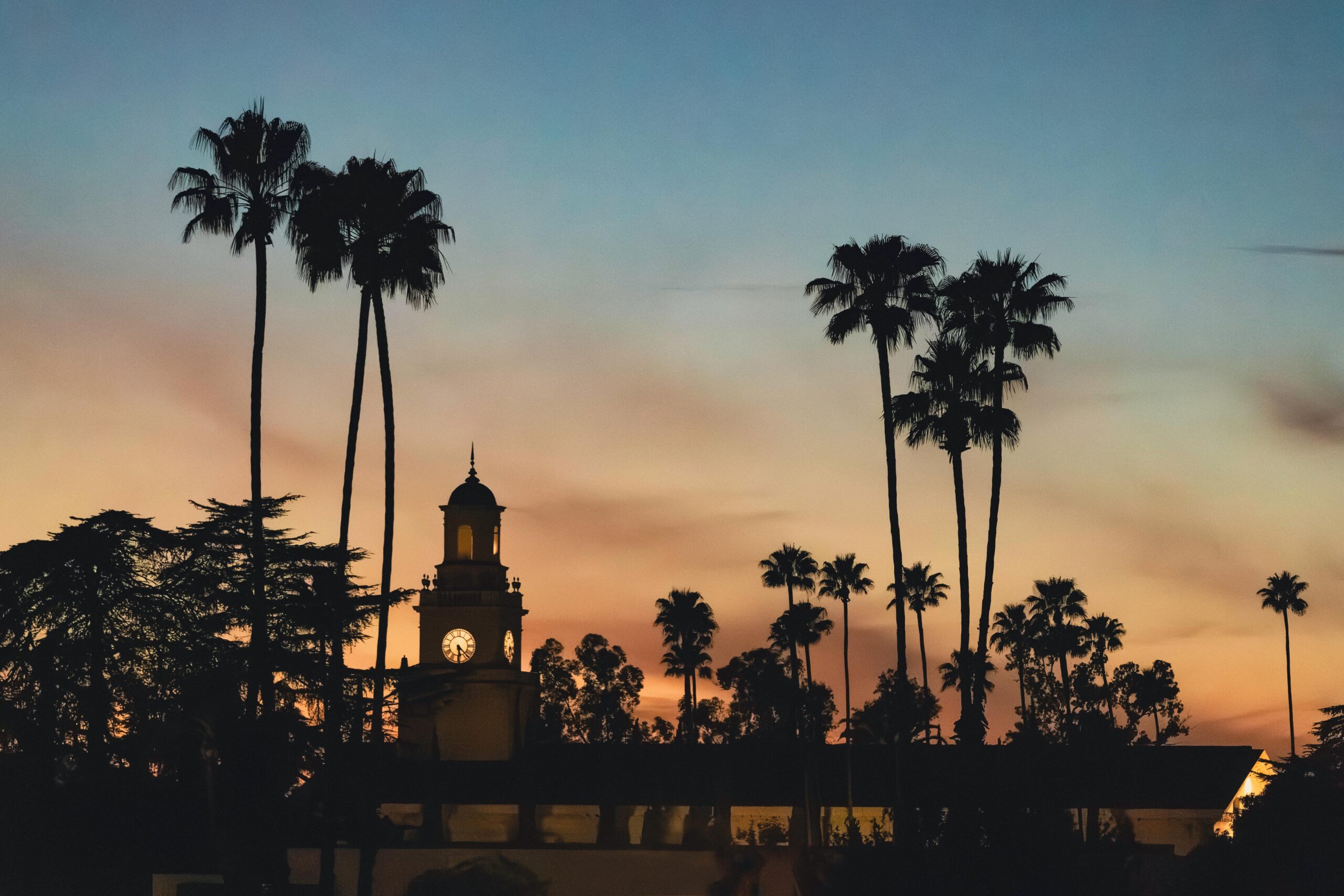 看不见的伤痕：家庭暴力如何重塑大脑，幸存者的认知之痛被科学验证