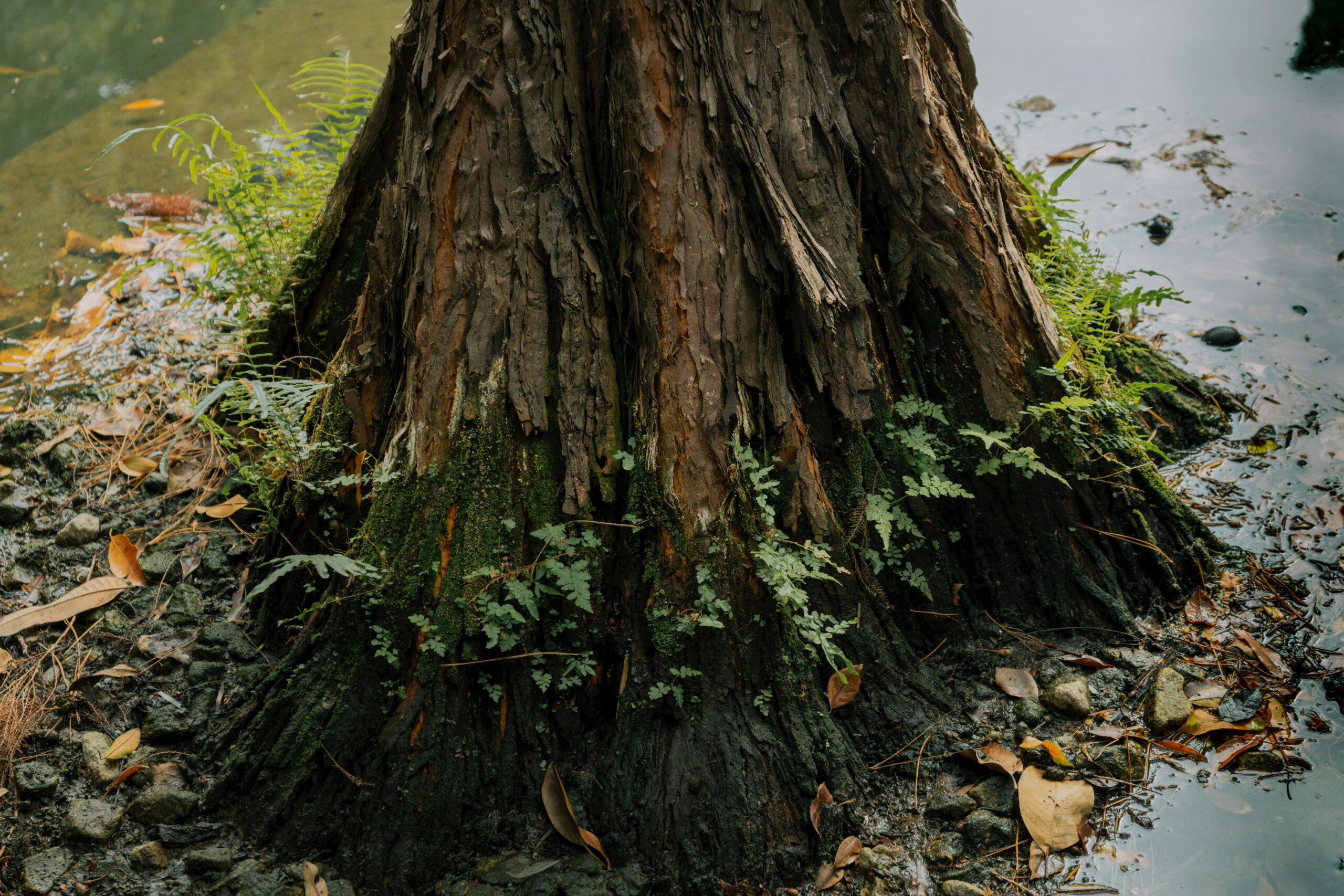 十年等待终见曙光？GTA 6的2026年窗口与2月3日的命运密钥