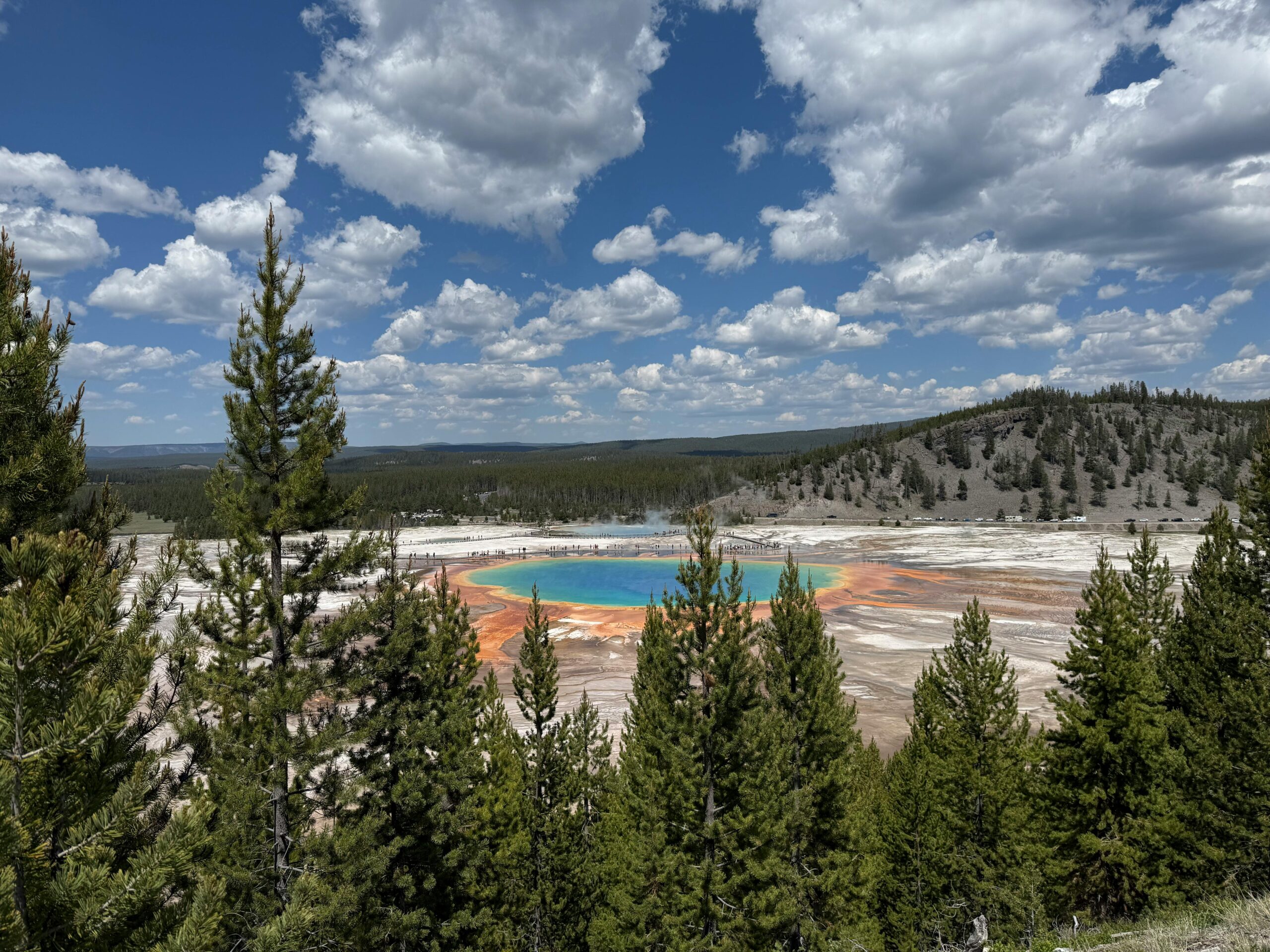 阿尔茨海默症逆转曙光背后：科学如何撬动大脑的终极密码？