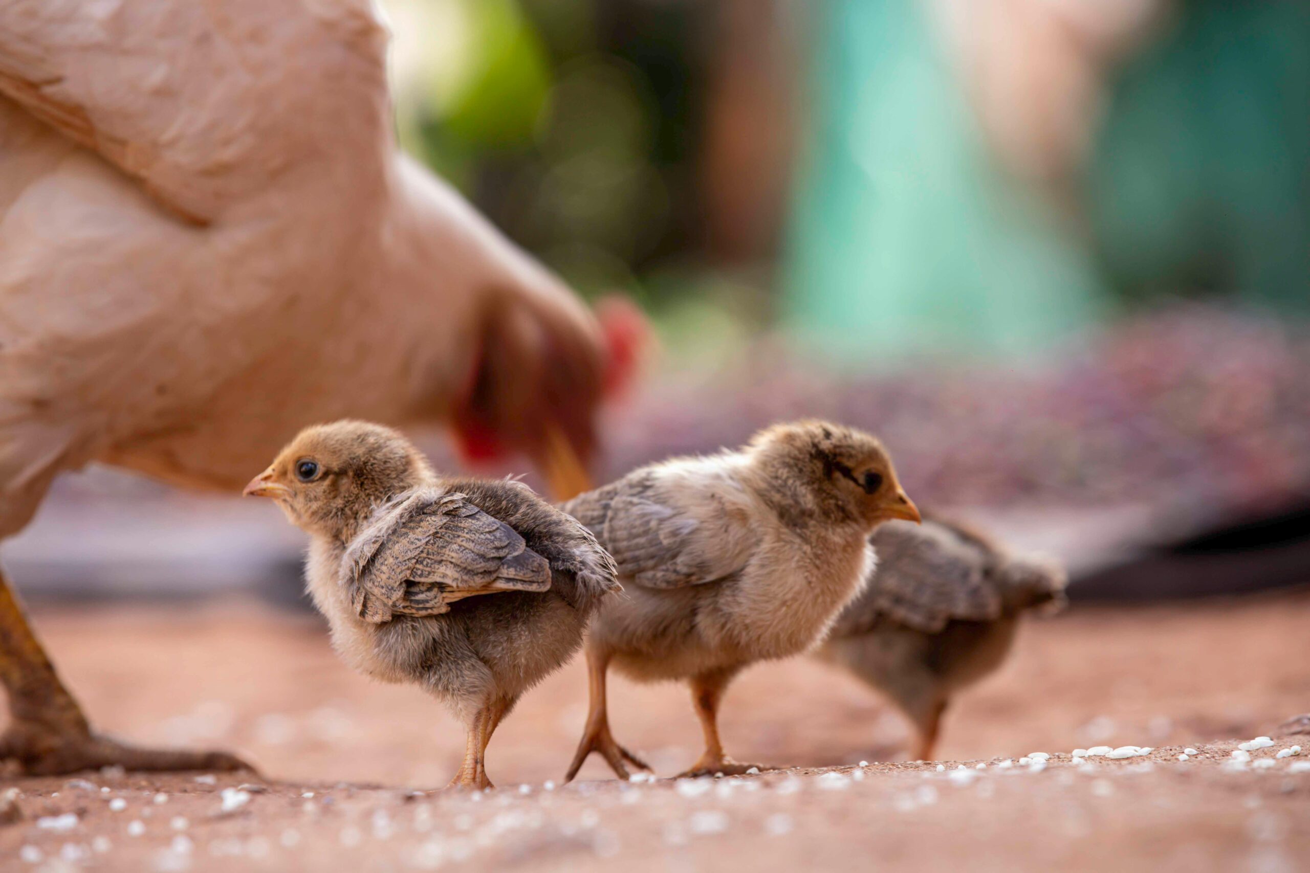 21.5亿估值，2亿融资，Onebrief收购Battle Road：国防科技“大脑”的军备竞赛升级