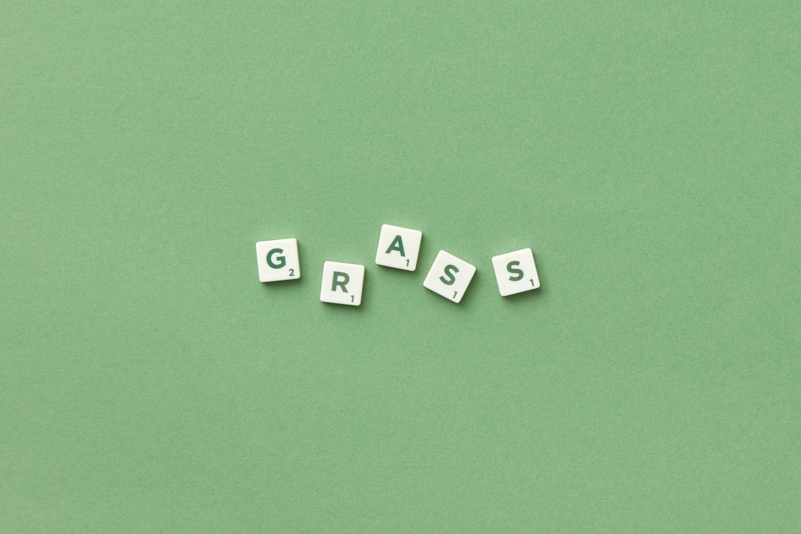 欧洲AI独角兽的“非美式生存法则”:当技术不再是唯一护城河