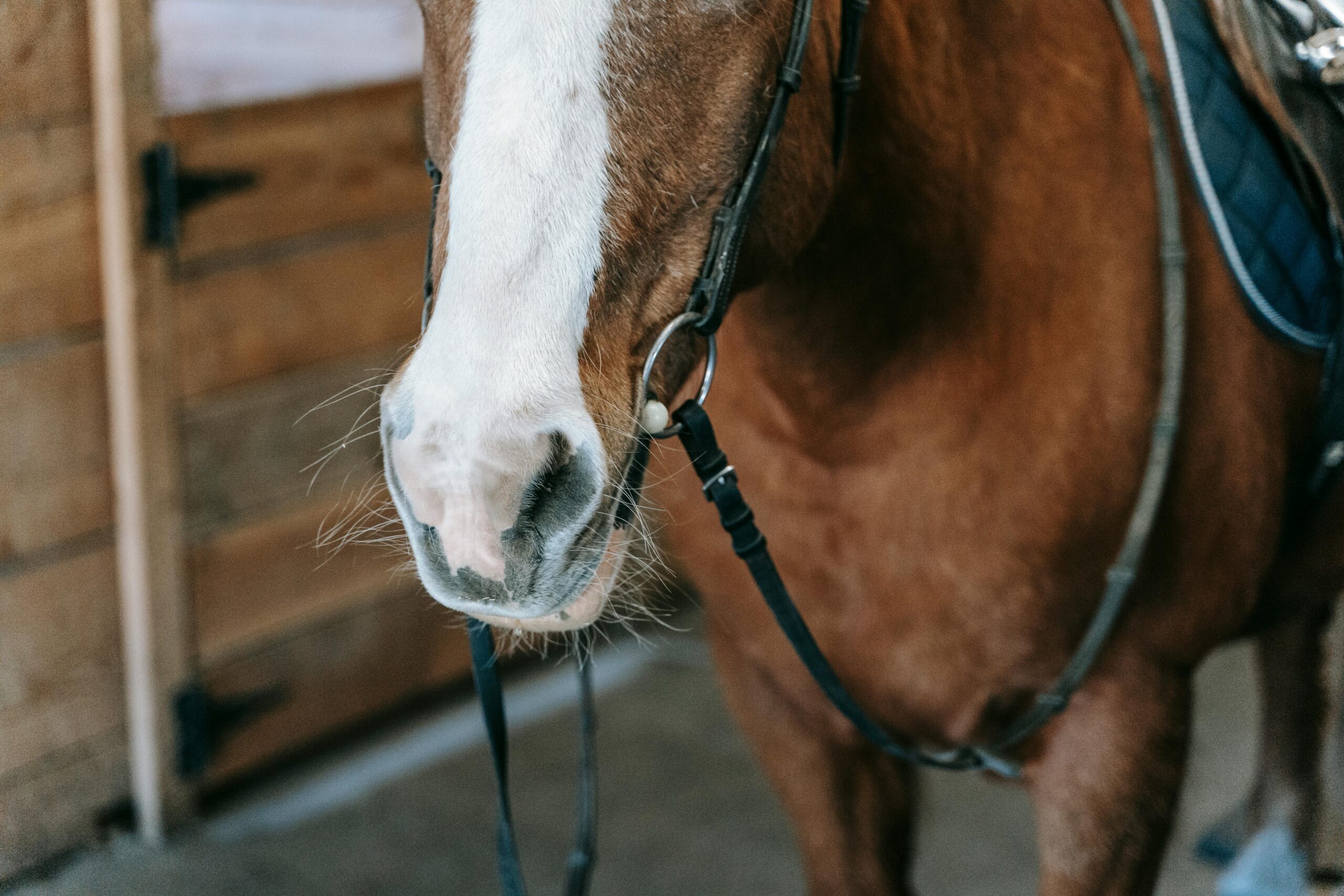 27亿美元豪赌核燃料独立：美国如何打破俄罗斯的“铀”垄断？