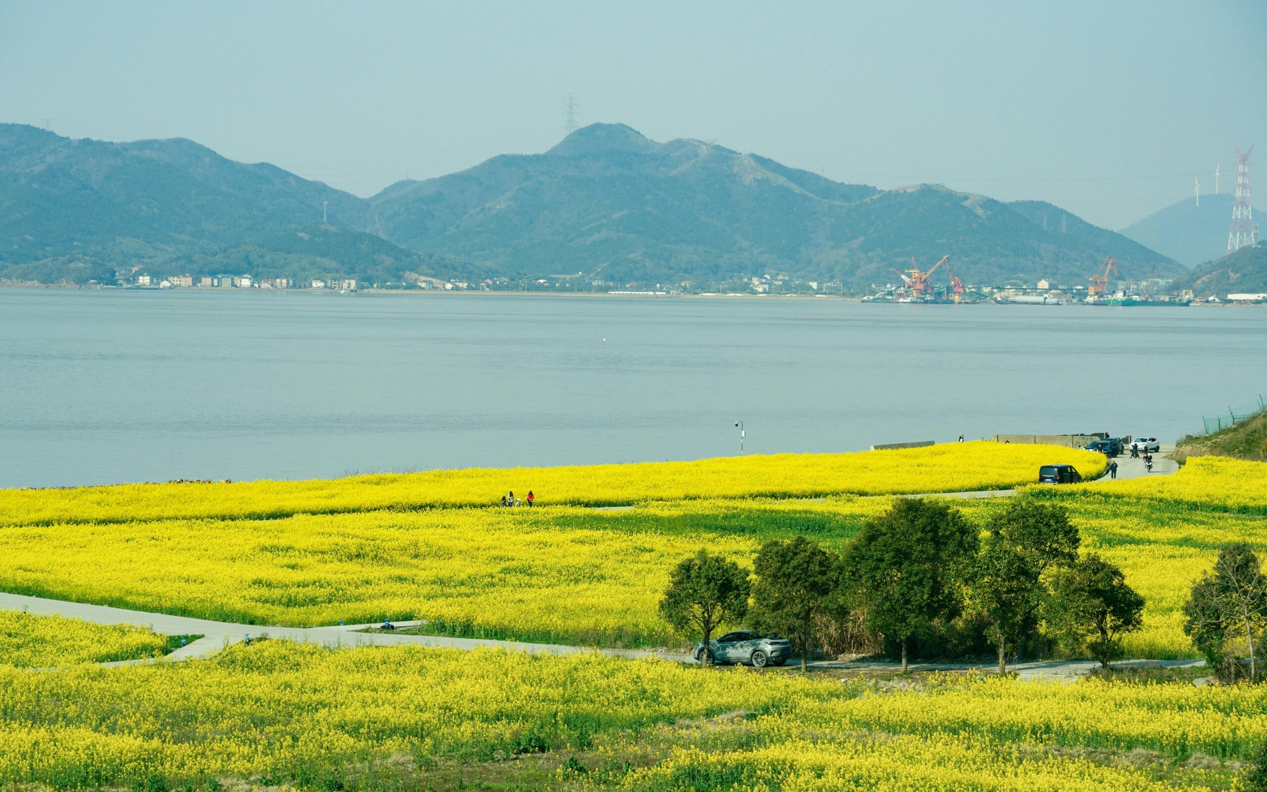 天才围猎场:爱泼斯坦的“科学沙龙”如何将女性排除在STEM殿堂之外