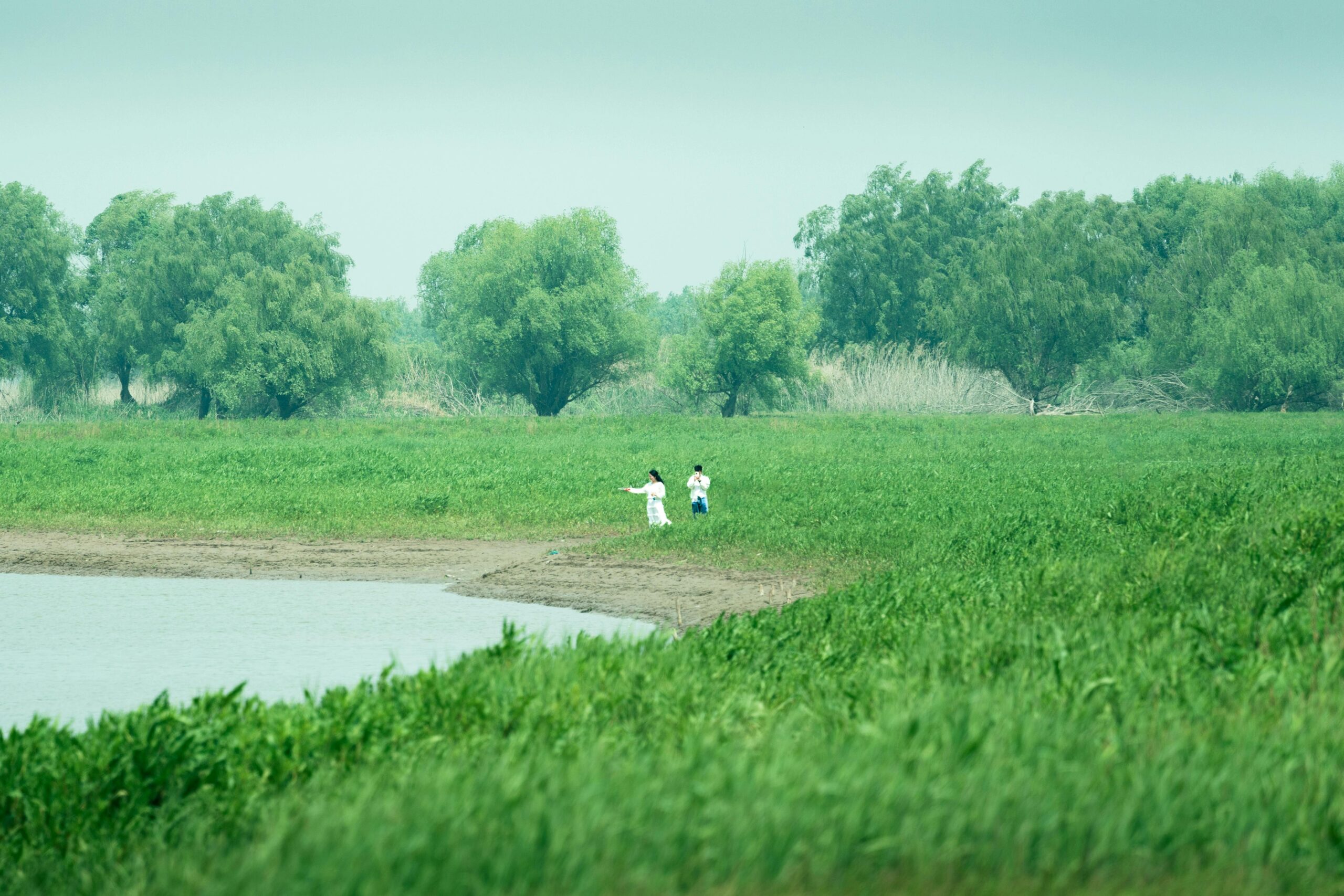 情人拱门情人节倒塌：一场自然与浪漫的“失约”，我们失去的究竟是什么？