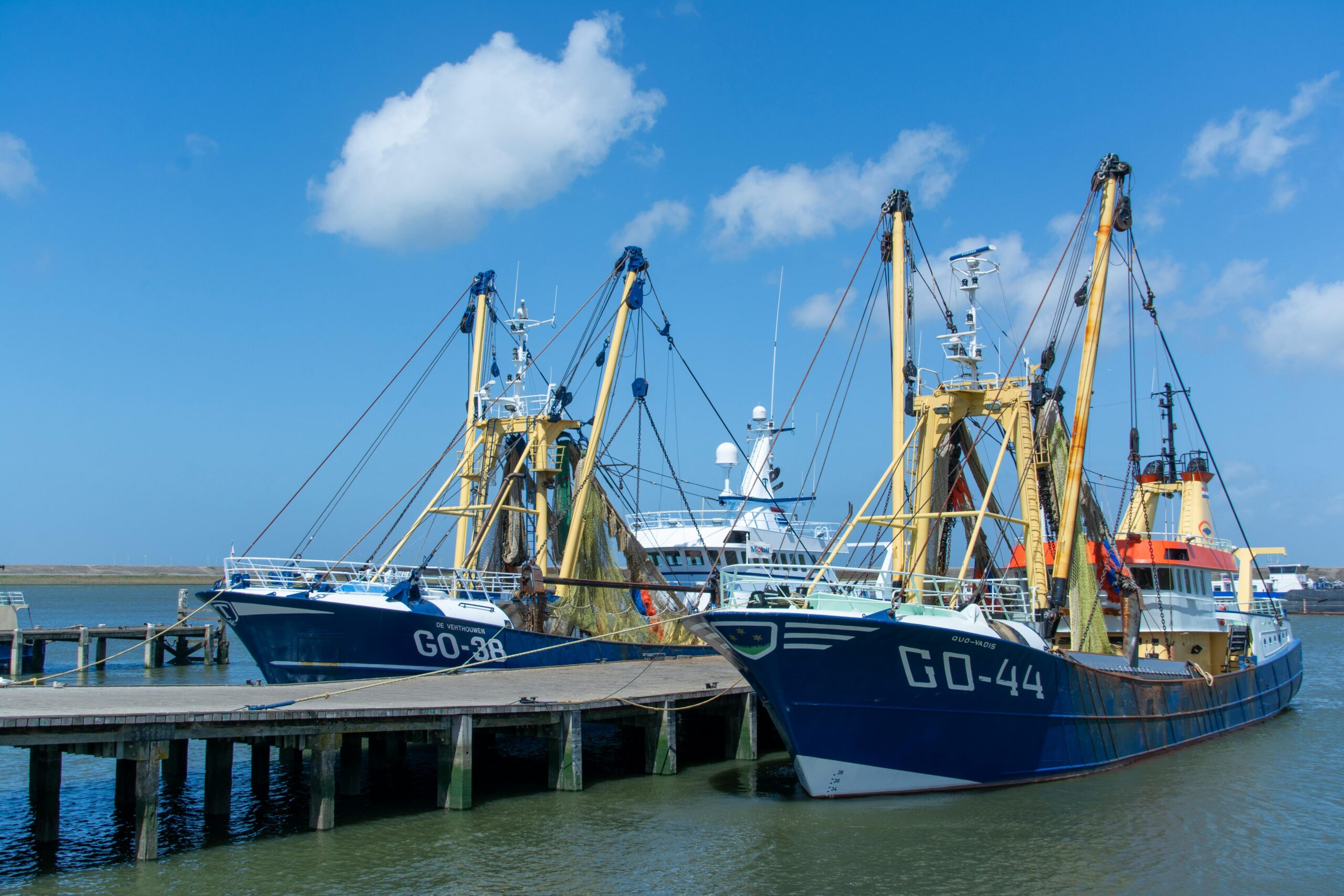 5000美元电动车真相：是捡漏神器，还是“电动爹”的终极形态？